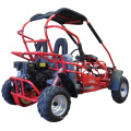 China Manufacutures USA Gasoline 200cc Two Seat Go Kart